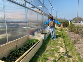 Garden 2